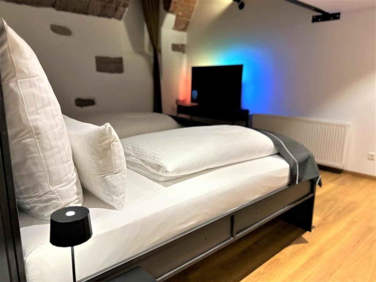Historical Luxury Homes - Luxus Familien Suite Φράιμπουργκ Εξωτερικό φωτογραφία