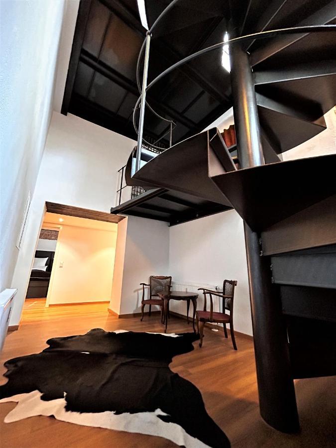 Historical Luxury Homes - Luxus Familien Suite Φράιμπουργκ Εξωτερικό φωτογραφία